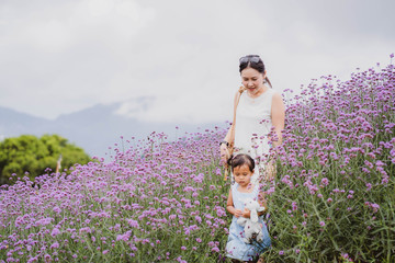 Wall Mural - Mother and daughter walking at verbena flower field in Thailand.