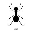 Black ant flat icon on white transparent background. You can be used black ant icon for several purposes.