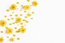 Flowers Composition. Yellow Chrysanthemum Flowers On White Background. Flat Lay, Top View