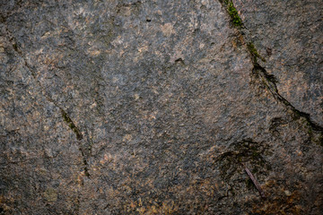 Texture of wet stone covered with moss. Background image of macro photography texture stone