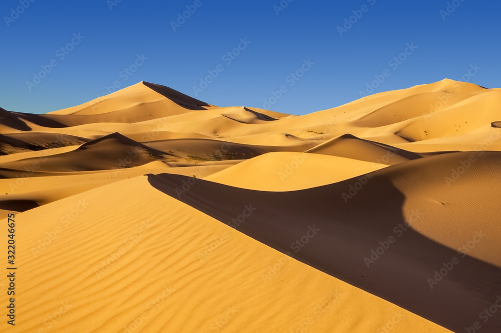 Sand dunes in the Arabian desert - obrazy, fototapety, plakaty 