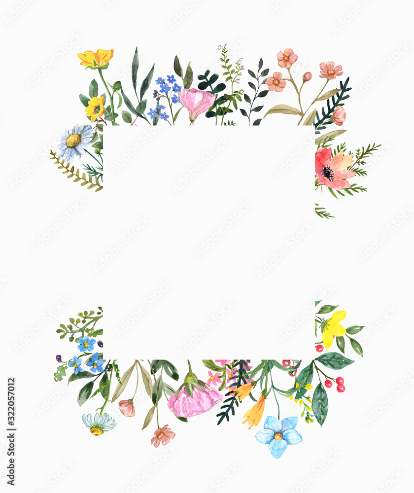 Watercolor wildflower frame on white background. Beautiful summer meadow flowers border, botanical backdrop for cards, invitations. Floral hand drawn illustration - obrazy, fototapety, plakaty 