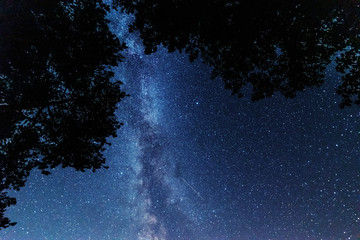Wall Mural - a night on the lake with a bright milky way in the sky and millions of stars glittering in the water