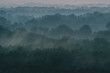 © Daniil - Mystical view from top on forest under haze at early morning. Mist among layers from tree silhouettes in taiga under warm predawn sky. Morning atmospheric minimalistic landscape of majestic nature.