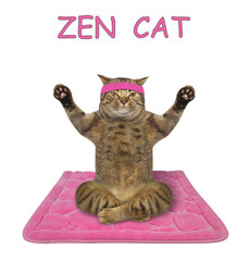 The beige cat athlete in a sport headband is doing yoga exercises on a pink fitness mat. White background. Isolated.