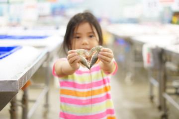 Asian child cute or kid girl holding and choose fresh two shrimp or prawn and show heart for love valentine day with seafood sales or buy and shopping in super market at department store with smiling