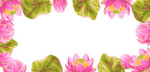 Background With Lotus Flowers. Water Lily Decorative Illustration.