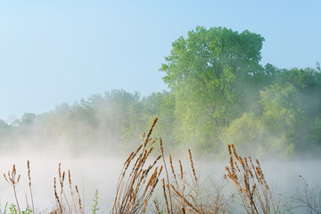 Wall Mural - Foggy spring landscape at sunrise of Jackson Hole Lake, Fort Custer State Park, Michigan, USA