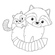 Coloring Page With Cute Racoon. Mother And Baby