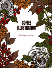 Wall Mural - Herbal illustration on label packaging design. Hand drawn vector botanic set with branch, flowers, coffee beans, dessert.