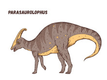 Parasaurolophus Dinosaur Hand Drawn. Vector Illustration. Herbivorous Dinosaur. Cartoon Illustration