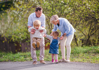 Senior grandparents with toddler grandchildren walking in nature in spring.