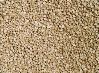 Photography of quinoa grain pattern for food background