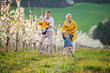 © Halfpoint - Senior grandparents with toddler grandchildren walking in orchard in spring.