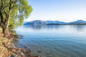 Wall Mural - Lake Wanaka, New Zealand. Beautiful lake in mountains with green trees.