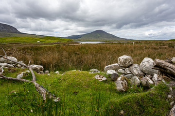 Landscape in ireland in the peat hill under grey cloudy sky II