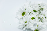 Fototapeta Kwiaty - Blumen Chrysanthemen Winterastern Strauss Valentinstag Liebe Love