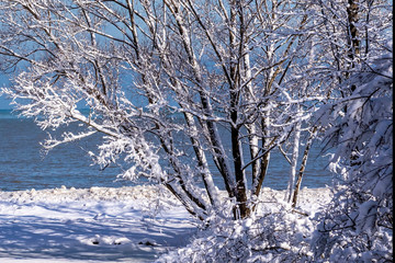 Wall Mural -  The shore of Lake Michigan cover fresh snow