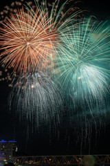 fireworks against a black sky background over a river and a bridge.