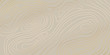 © TWINS DESIGN STUDIO - Luxury gold abstract topographic map background with golden lines  texture, 17:9 wallpaper design for fabric , packaging , web, geographic grid map vector illustration.