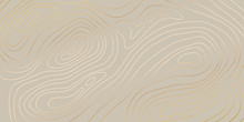 Luxury Gold Abstract Topographic Map Background With Golden Lines  Texture, 17:9 Wallpaper Design For Fabric , Packaging , Web, Geographic Grid Map Vector Illustration.