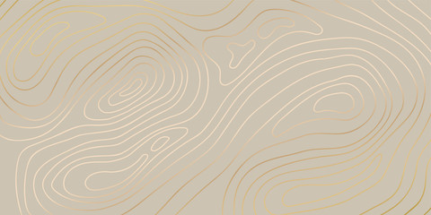 Wall Mural - luxury gold abstract topographic map background with golden lines texture, 17:9 wallpaper design for