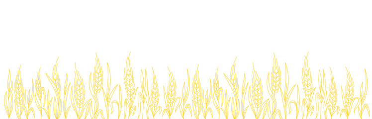 Cereal field. Ears of wheat. Agriculture straw. Orange rye grass. Contour line vector. Copy space. Horizontal banner. Background.