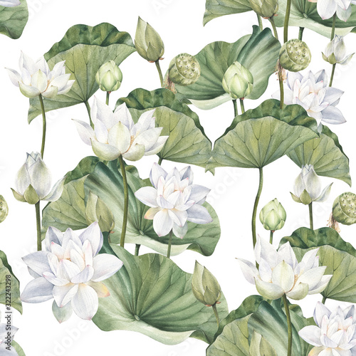 Dekoracja na wymiar  recznie-rysowane-akwarela-bezszwowe-wzor-z-bialymi-kwiatami-lotosu-i-lisciem-lotosu