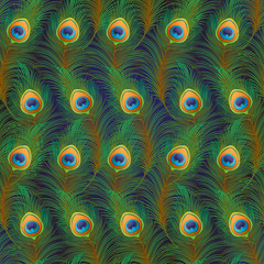 Wall Mural - Peacock feathers Seamless pattern, background. Colored vector illustration on dark blue background