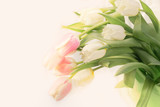 Fototapeta Tulipany - airy bouquet of delicate pink and white tulips for congratulations