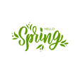 Hello spring hand lettering text as logotype, badge and icon, postcard, card, invitation, banner template. Special spring sale typography poster. Vector illustration.