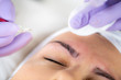 © Microgen - Microblading Eyebrows, Semi-permanent Makeup Procedure
