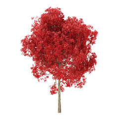 Wall Mural - Tree on a white background. Tree with red foliage. Clipping path included. 3D rendering.
