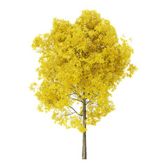 Wall Mural - Tree on a white background. Tree with yellow foliage. Clipping path included. 3D rendering.