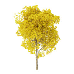 Wall Mural - Tree on a white background. Tree with yellow foliage. Clipping path included. 3D rendering.