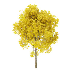 Wall Mural - Tree on a white background. Tree with yellow foliage. Clipping path included. 3D rendering.