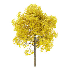 Wall Mural - Tree on a white background. Tree with yellow foliage. Clipping path included. 3D rendering.