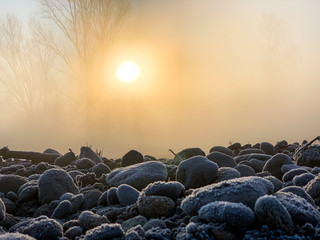 Mist on the river Adda in northern Italy.