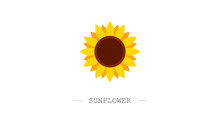 Sunflower Logo. Emblem For Company. Vector Illustration