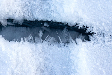 Wall Mural - snow and ice feathers on ice