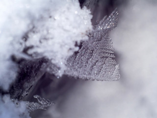 Wall Mural - snow and ice feathers on ice