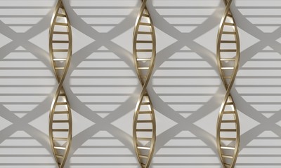 Canvas Print - Golden Metal Dna models with shadow line up on white background. Science and technology concept. 3d rendering - illustration.