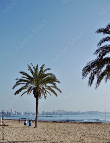 Tropical Beaches Wallpaper Murals Custom Sized