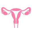 Women uterus and ovary icon