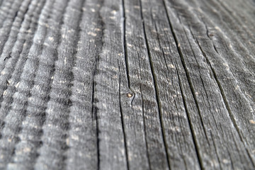 Wooden old wall texture, wood background closeup