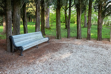 Daytime Sunny Shot Of A Foreground Park Bench And Gravel Path With Tree Trunks And Grass In The Background.