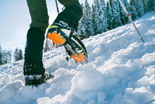 Close Up Shot Of Mountain Boots With Crampons And Snow Gaiters With Snowy Spruces On The Background . High Mountaineer Pounding Boots In Hard Snow Ascending UP On The Summit.