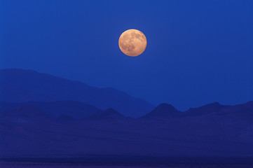 Wall Mural - Wonderful full moon rising in the Mojave Desert in California.