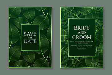 Set of modern luxury wedding invitation design or card templates for business or presentation or greeting with bright leaves on a green background.