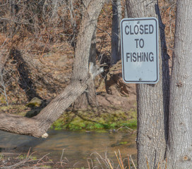 Wall Mural - Sign - Closed to Fishing. Arizona game and fish department at Tonto Creek Hatchery. Payson, Gila County, Arizona USA